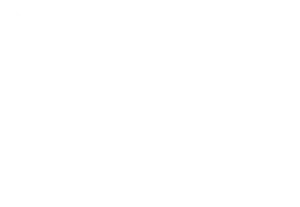 SysNet IT logo security-first Managed IT Services Melbourne